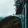 ginadonovan0 - @ginadonovan0 - TikTok
