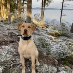 Ginger Dunham - @dunhamginger - Instagram
