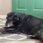 Ginger Dunham Fritz - @fritzginger - Instagram
