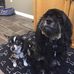 Gina Dutton-Hicks - Facebook