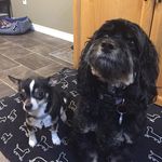 Gina Dutton-Hicks - @duttonhicks - Instagram