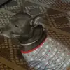 Gina - @ginadutton - TikTok