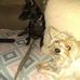 Virginia Edmonds - Facebook
