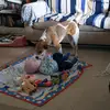 ginaellison24 - @ginaellison24 - TikTok