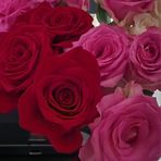 Gina Elmore - Facebook