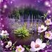 Gina Elmore - Facebook