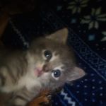 Gina Fields - @gina.fields.334839 - Instagram