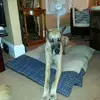 ginafields77 - @ginafields77 - TikTok