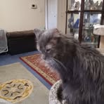 Gina Flaherty - Facebook