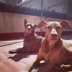 GinAh Toro Kianna - @ginaflyhigh - Instagram