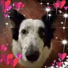 Gina Gables - @ginagables - TikTok