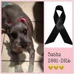 Gina Gabriela Gamboa - @gamboaginagabriela - Instagram