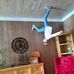 Gina Gambrell - Facebook