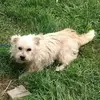 Gina Straub Gates - @gina.straub.gates - TikTok