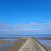 Gina Go - @gina.go1 - TikTok