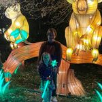 Gina Goodman Simpson - @ginagoodmansimpson - Instagram