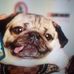 Gina Goodwin - Facebook