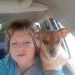 Gina Goodwin Anz - @ginagoodwinanz - Instagram