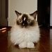 Gina Greer - Facebook