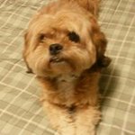Gina Grider - @ginalg1985 - Instagram