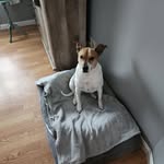 Gina Grover Miller - @gg2four63 - Instagram