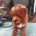Gina Haley - Facebook
