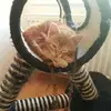 Gina Nia Ariana Hamann - @arxana.gxna - TikTok