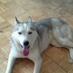 Regina Loudermilk Harbison - @reginaharbison - Instagram