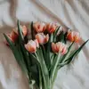 Ginan Alhealy - @ginan.alhealy - TikTok