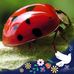 Gina Herbert - Facebook