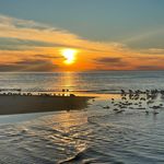 Gina Herrington - @herrington.gina - Instagram