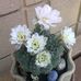 Gina Hogan - Facebook