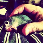 Gina holcomb - @socialache - Instagram