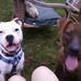 Gina Huffman - Facebook