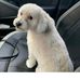 Gina Lochhead - Facebook