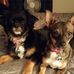 Gina Hurst - Facebook