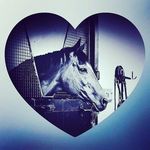 ginny hutton - @mini.ginny - Instagram