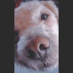 gina jacobson - @jacobson1343ca - Instagram
