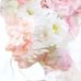 Gina Kent - Facebook