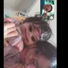 GINA KWAN - @gina.kwan - TikTok