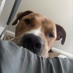 Gina Lamm - @ginalamm12 - Instagram
