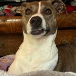 Gina Lemke - @gina.lemke.5 - Instagram