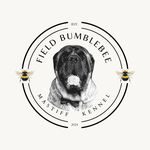 Gina Slotboom Lemke - @mastiff.zucht.bumblebee - Instagram