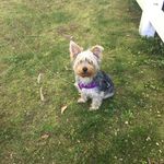 Gina Littlejohn - @littlejohngina - Instagram
