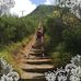 Gina Lohan - Facebook