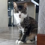 GINA - @ginamainecoon - Instagram