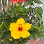 Gina maresca fitzpatrick - @fitzpatrickginamaresca - Instagram