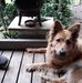 Regina Mathwig - Facebook