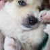 Gina Mayer - Facebook
