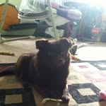 Ginny Mcafee - @gmcafee2954 - Instagram